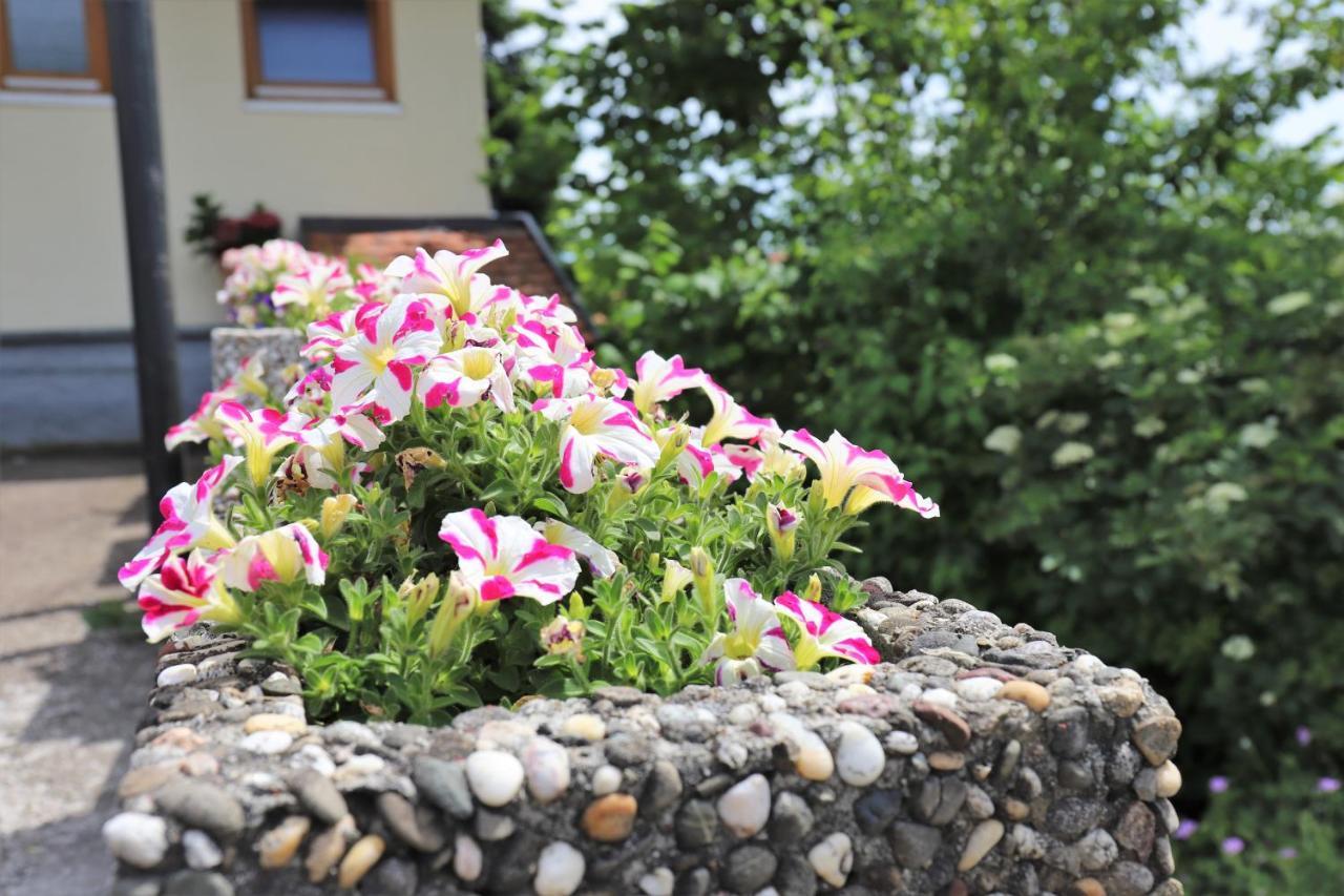 Gaestehaus Willaringen Rickenbach (Baden-Wurttemberg) Exterior foto